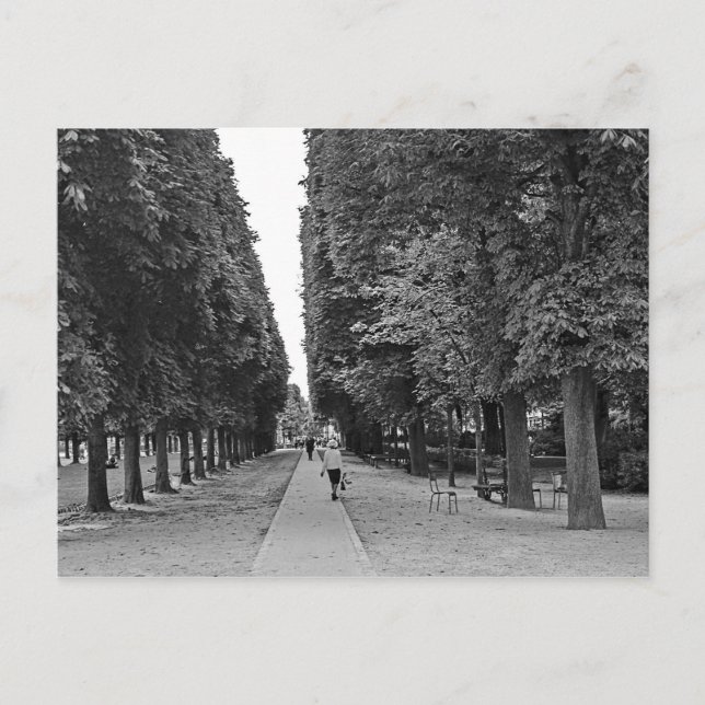 Old lady walking at park in Paris in summer Postcard (Front)