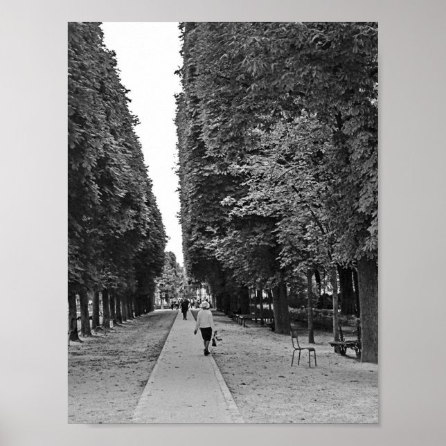 Old lady walking at park in Paris in summer Poster (Front)