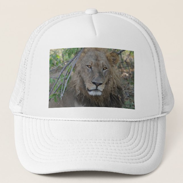 Old Lion Hanging Out. Trucker Hat (Front)