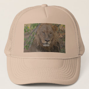 Old Lion Hanging Out. Trucker Hat
