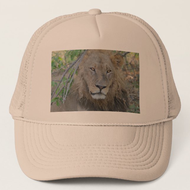 Old Lion Hanging Out. Trucker Hat (Front)