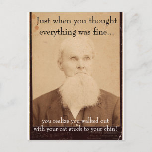 Old Man Bad Hair Day Postcard