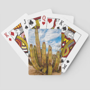 Old Man Cactus portrait, Mexico Playing Cards