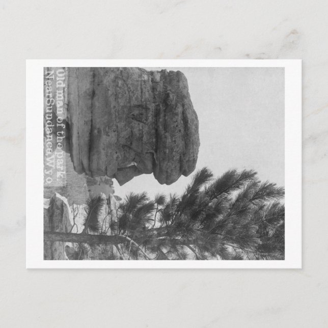 "Old Man" of the Park Near Sundance Photograph Postcard (Front)