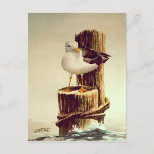 OLD MAN SEAGULL by SHARON SHARPE Postcard