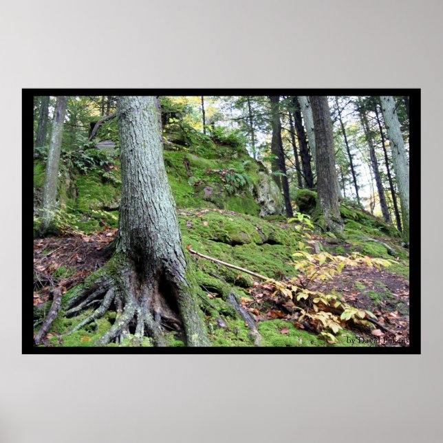 Old Man's Cave Ridge #1 Poster (Front)