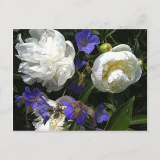 Old Masters Garden Postcard