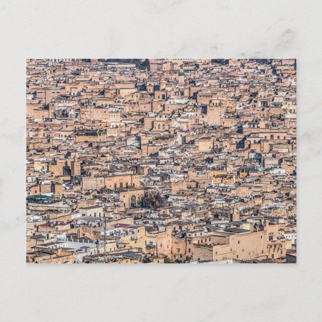 Old  Medina, Fez Morocco Postcard (Front)