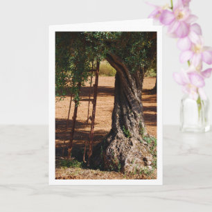 Old Metal Ladder against Olive Tree Card