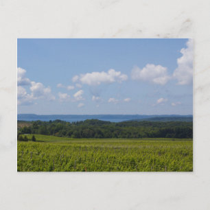 Old Mission Peninsula, Michigan Postcard