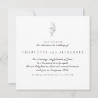 Old Money Aesthetic, Neutral bg, save the date