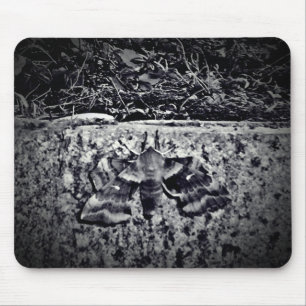Old moth photo mouse pad
