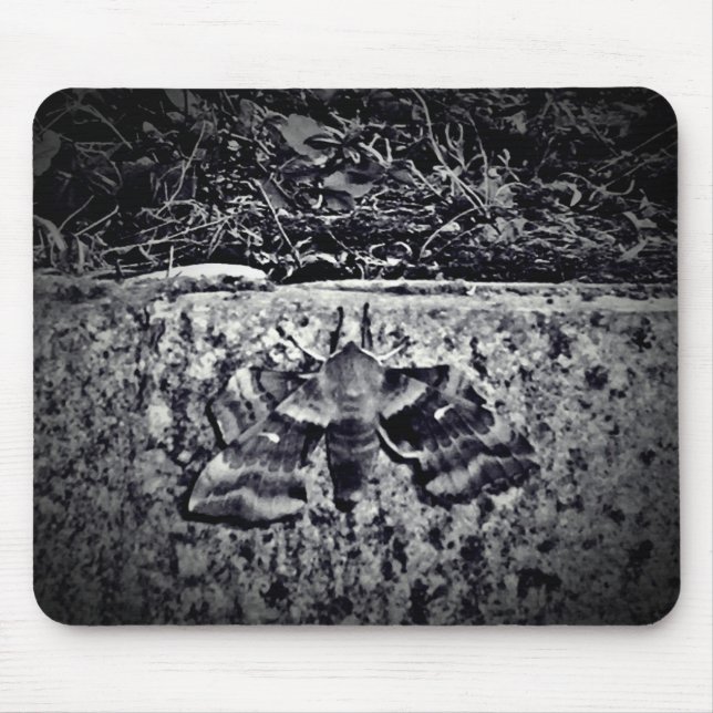 Old moth photo mouse pad (Front)