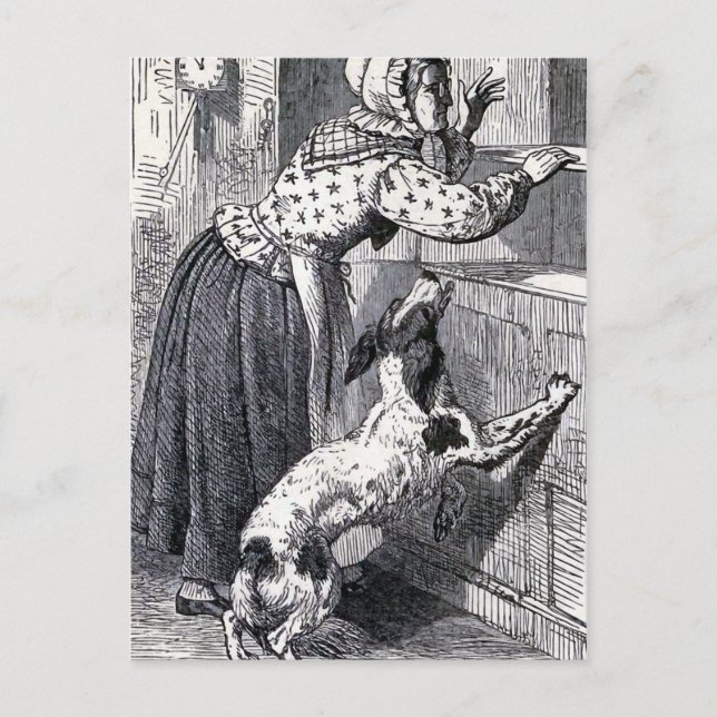 "Old Mother Hubbard" Vintage Illustration Postcard (Front)