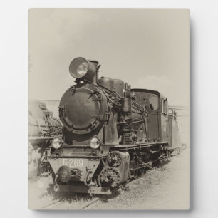 Old narrow-gauge steam engine Gr-269 Plaque