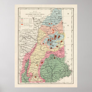 Old New Hampshire Tree Species Map (1877)  Poster