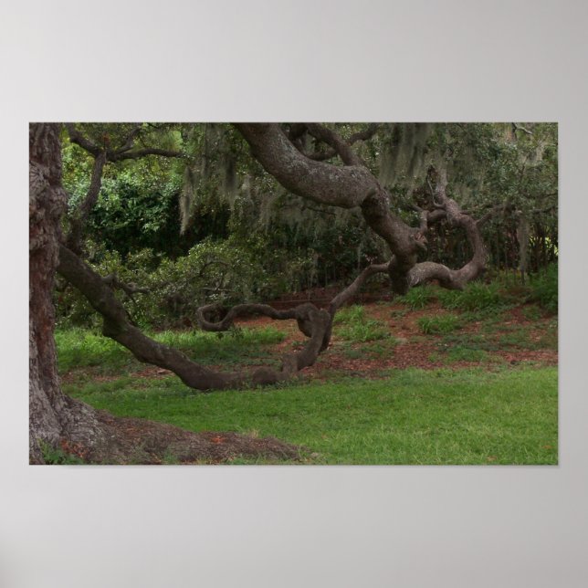 Old Oak Poster (Front)