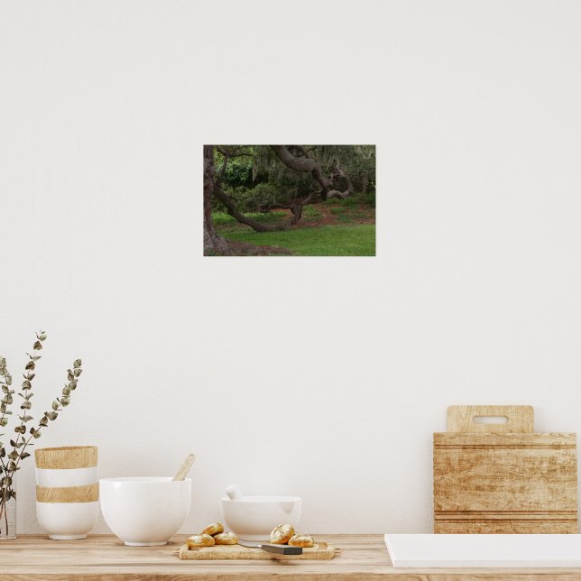Old Oak Poster (Kitchen)