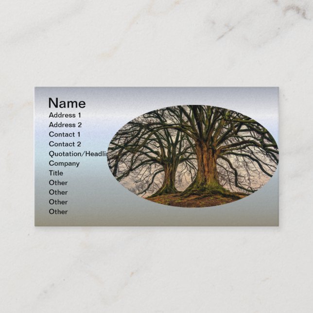 Old Oak Tree in Winter Business Card (Front)
