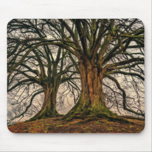 Old Oak Tree in Winter Mouse Pad