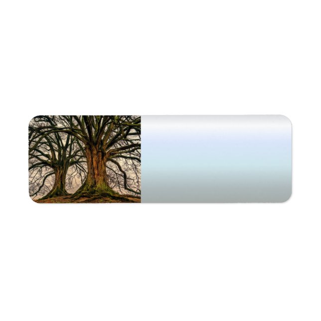 Old Oak Tree in Winter Return Address Label (Front)