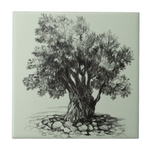 Old olive tree ceramic tile