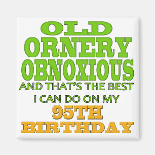 Old Ornery Obnoxious 95th Birthday Gifts Magnet
