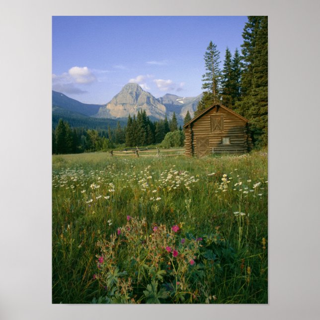 Old Park Service cabin in the Cut Bank Valley Poster (Front)