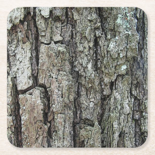 Old Pine Bark Square Paper Coaster