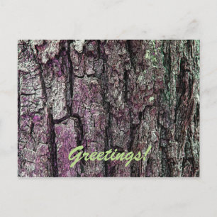 Old Pine Bark with Text Greetings Postcard