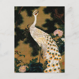 Old Pine Tree and Peacock by Ito Jakuchu Postcard