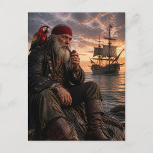 Old Pirate and Scarlet Macaw at Sunset Postcard