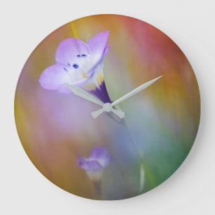 Old Point Loma Lighthouse   Cabrillo Monument Large Clock