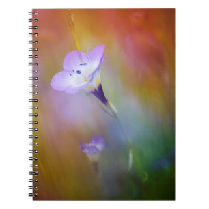 Old Point Loma Lighthouse   Cabrillo Monument Notebook