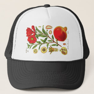 Old Pomegranate Illustration Trucker Hat