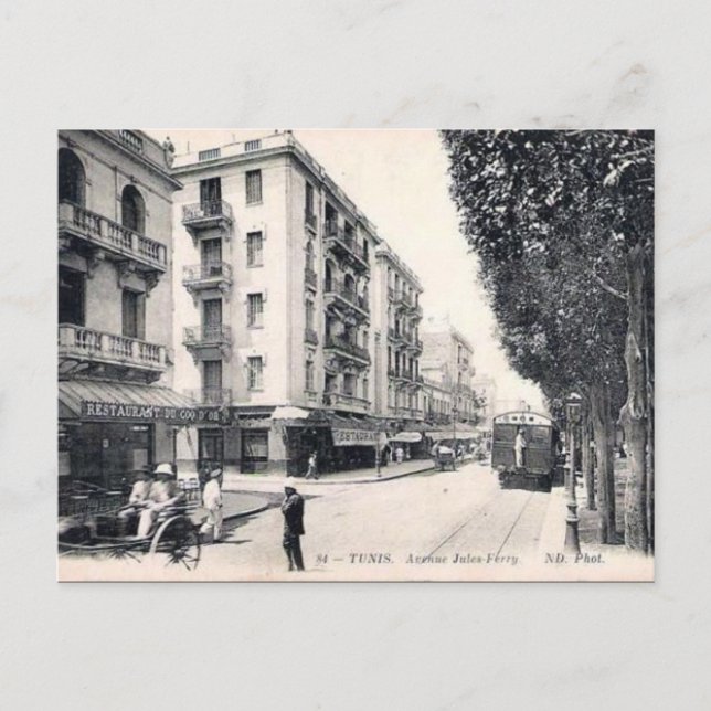 Old Postcard - Ave Jules-Ferry, Tunis (Front)