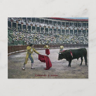 Old Postcard - Bullfighting