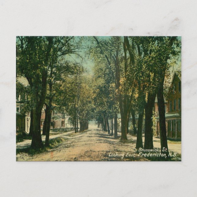 Old Postcard - Fredericton, New Brunswick (Front)