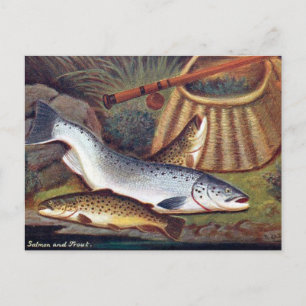 Old Postcard - Salmon and Trout