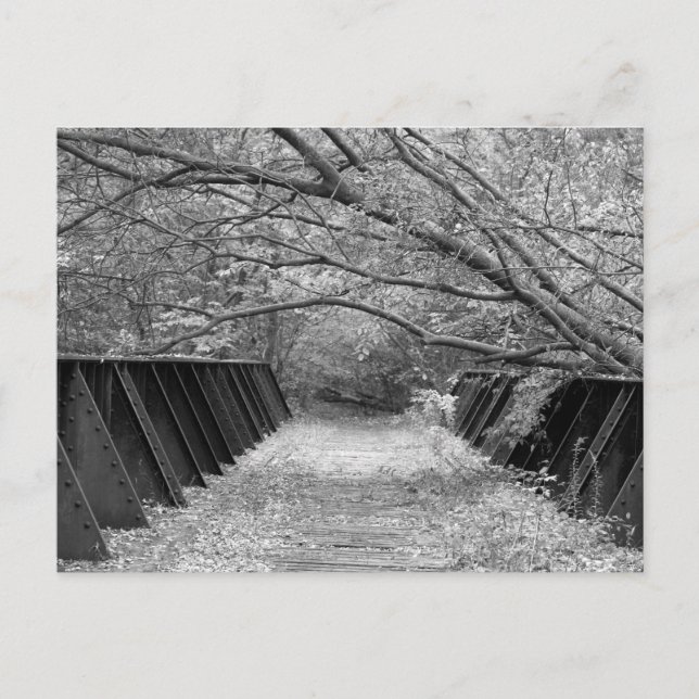 Old Railroad Bridge Postcard (Front)
