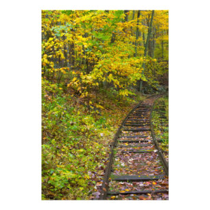 Old railroad tracks, Blue Ridge Parkway, Virginia Photo Print
