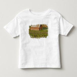 Old red barn at the edge of Zinfandel vineyard Toddler T-Shirt