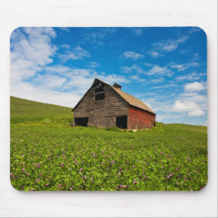 Old, red barn in field of chickpeas mouse pad