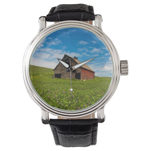 Old, red barn in field of chickpeas watch (Front)