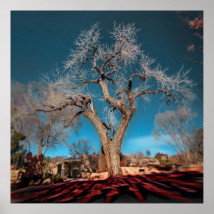 Old Roots of Canyon Road Poster