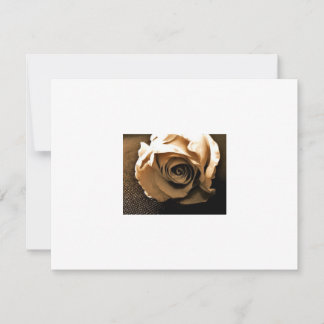 Old Rose