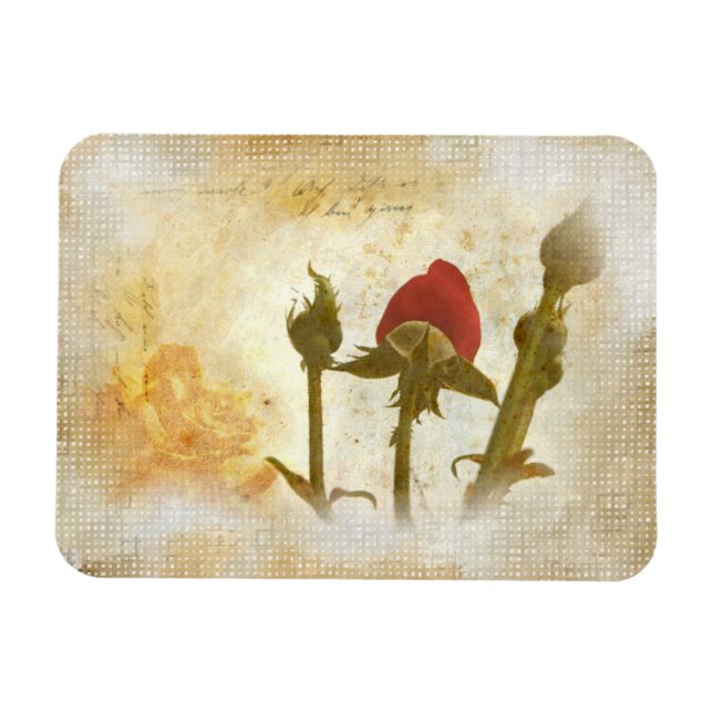 Old Rose Magnet (Horizontal)