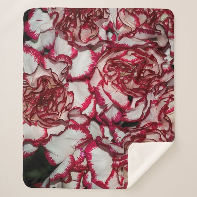 Old rose, pink, Background and texture with Leathe Sherpa Blanket (Front)