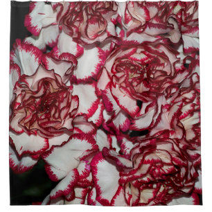 Old rose, pink, Background and texture with Leathe Shower Curtain