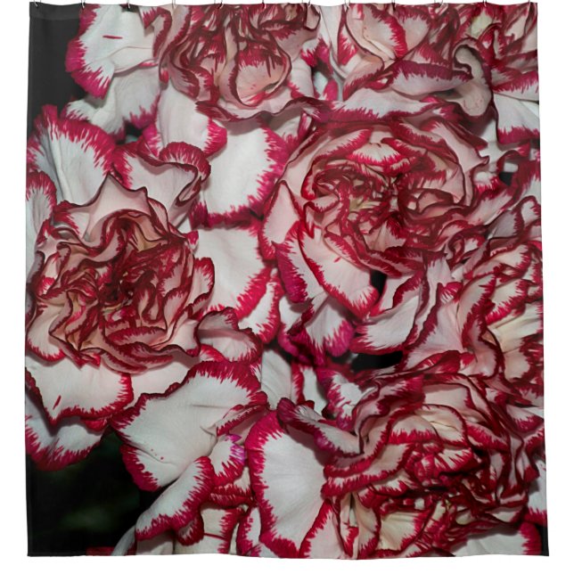 Old rose, pink, Background and texture with Leathe Shower Curtain (Front)